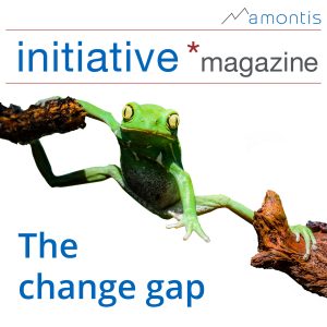 The change gap - initiative*magazine 11 by amontis